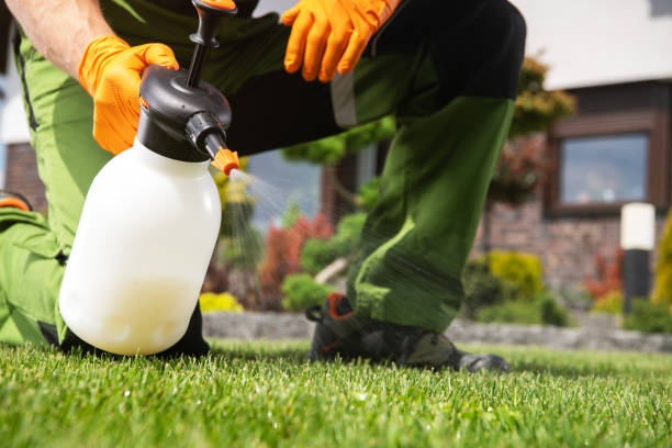 Best Cockroach Control Services  in Flanders, NJ