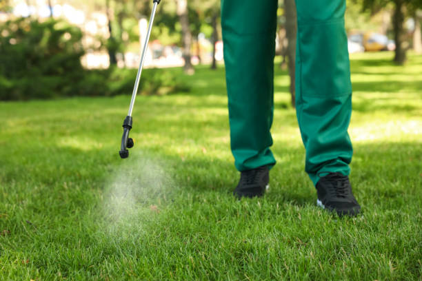 Trusted Flanders, NJ Pest Control Experts