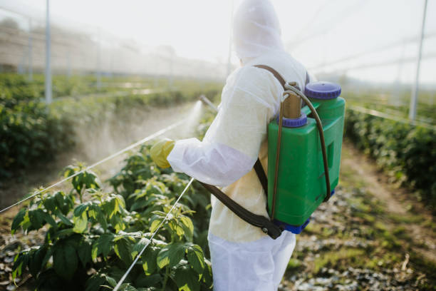 Best Pest Inspection Near Me  in Flanders, NJ